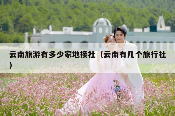 云南旅游有多少家地接社（云南有几个旅行社）