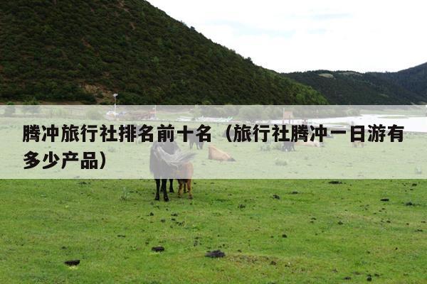 腾冲旅行社排名前十名（旅行社腾冲一日游有多少产品）