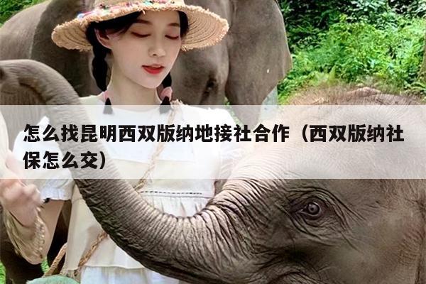 怎么找昆明西双版纳地接社合作（西双版纳社保怎么交）