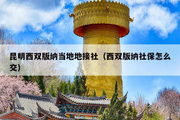 昆明西双版纳当地地接社（西双版纳社保怎么交）