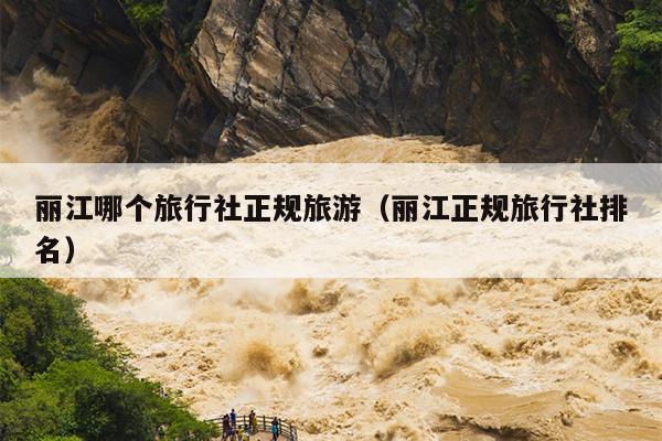 丽江哪个旅行社正规旅游（丽江正规旅行社排名）