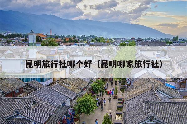 昆明旅行社哪个好（昆明哪家旅行社）