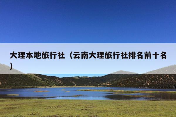 大理本地旅行社（云南大理旅行社排名前十名）