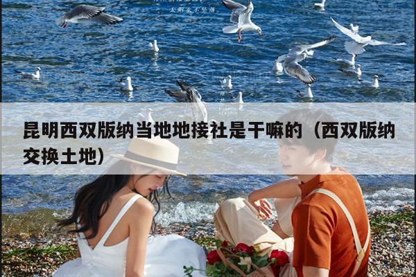 昆明西双版纳当地地接社是干嘛的（西双版纳交换土地）