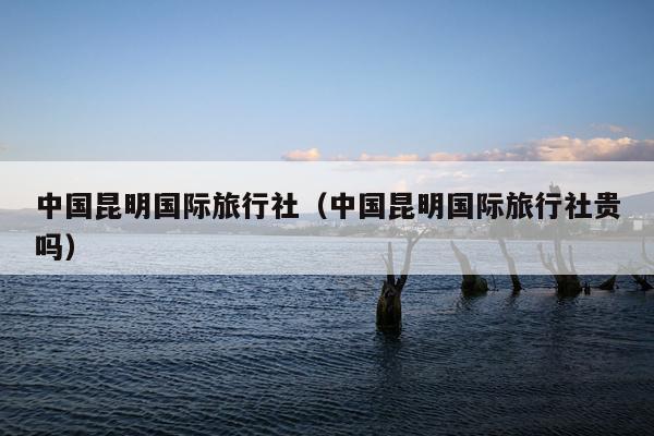 中国昆明国际旅行社（中国昆明国际旅行社贵吗）
