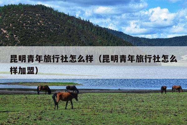 昆明青年旅行社怎么样（昆明青年旅行社怎么样加盟）