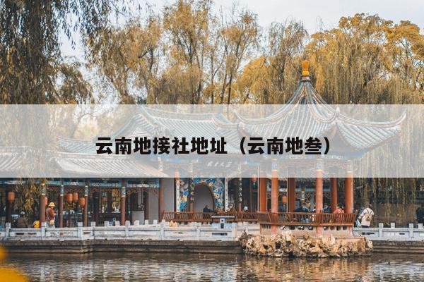 云南地接社地址（云南地叁）