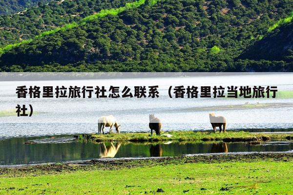 香格里拉旅行社怎么联系（香格里拉当地旅行社）