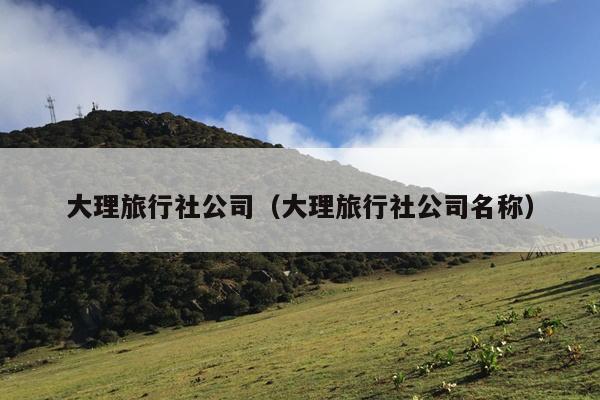 大理旅行社公司（大理旅行社公司名称）