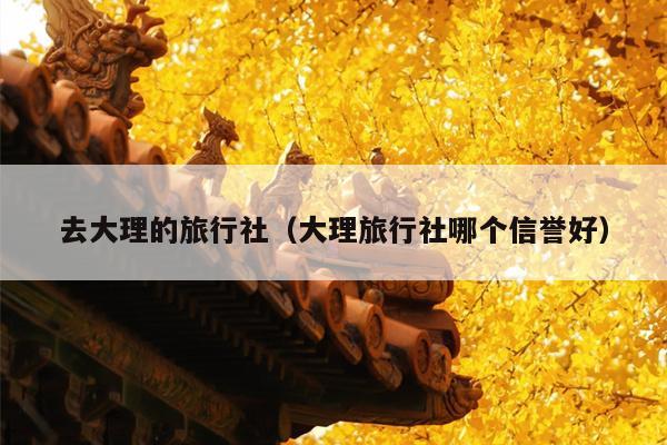 去大理的旅行社（大理旅行社哪个信誉好）