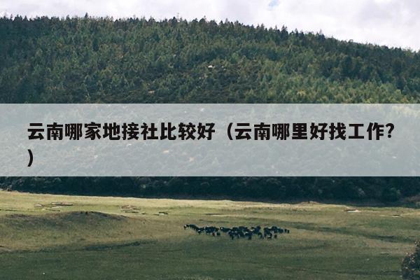 云南哪家地接社比较好（云南哪里好找工作?）