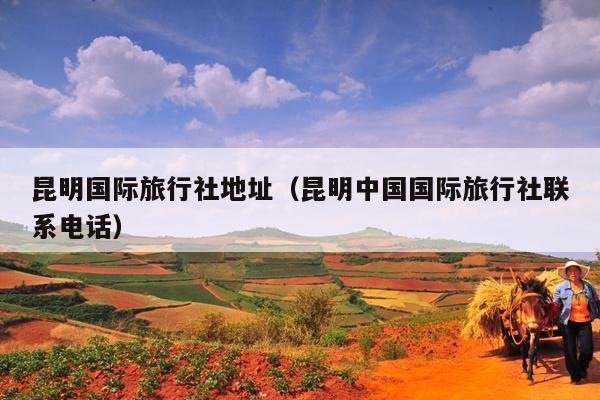昆明国际旅行社地址（昆明中国国际旅行社联系电话）