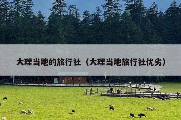 大理当地的旅行社（大理当地旅行社优劣）