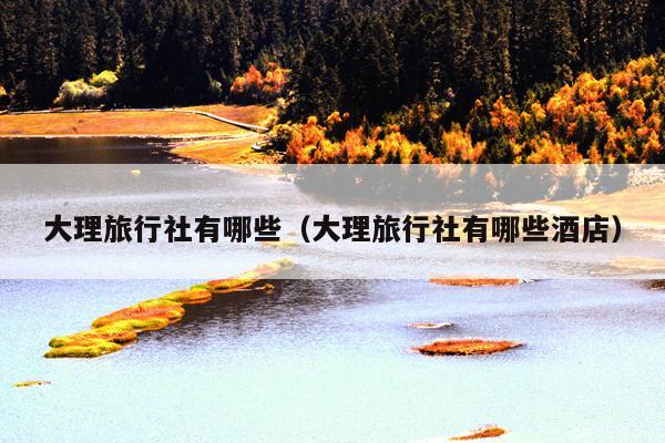 大理旅行社有哪些（大理旅行社有哪些酒店）