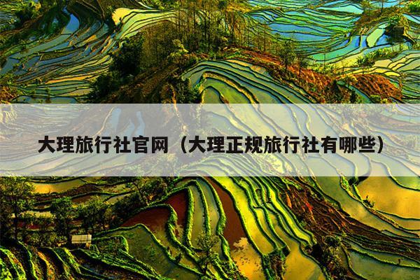 大理旅行社官网（大理正规旅行社有哪些）