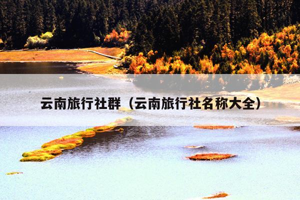 云南旅行社群（云南旅行社名称大全）
