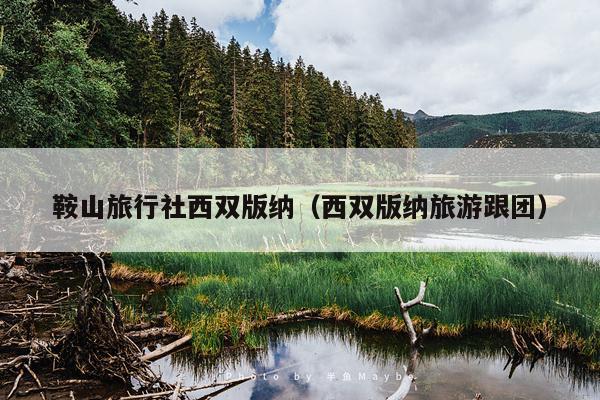 鞍山旅行社西双版纳（西双版纳旅游跟团）