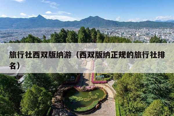 旅行社西双版纳游（西双版纳正规的旅行社排名）