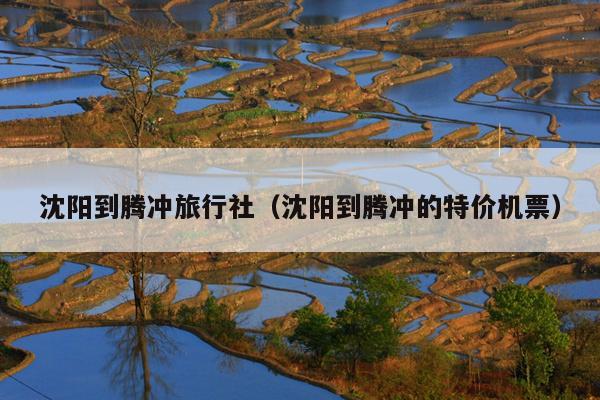 沈阳到腾冲旅行社（沈阳到腾冲的特价机票）