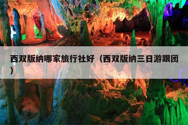 西双版纳哪家旅行社好（西双版纳三日游跟团）