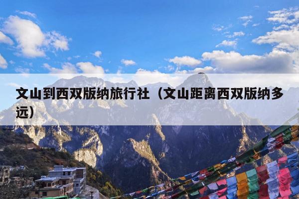 文山到西双版纳旅行社（文山距离西双版纳多远）