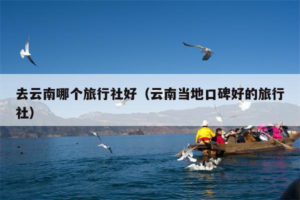 去云南哪个旅行社好（云南当地口碑好的旅行社）