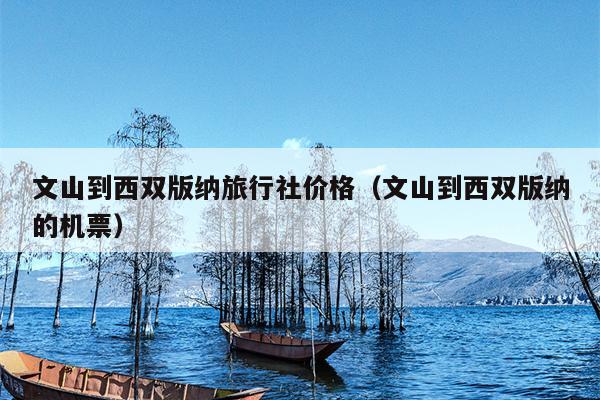 文山到西双版纳旅行社价格（文山到西双版纳的机票）