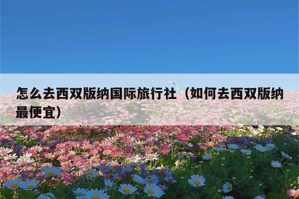怎么去西双版纳国际旅行社（如何去西双版纳最便宜）