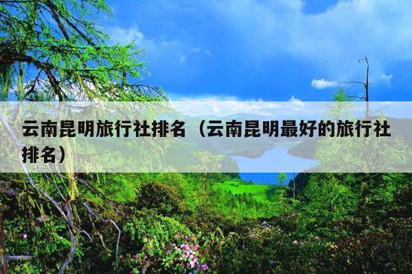 云南昆明旅行社排名（云南昆明最好的旅行社排名）