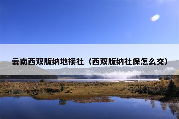 云南西双版纳地接社（西双版纳社保怎么交）