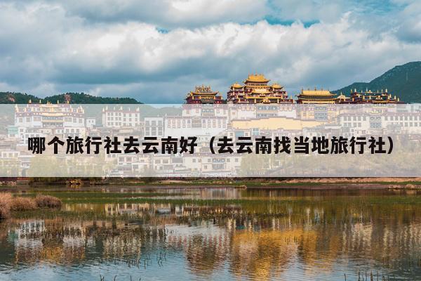 哪个旅行社去云南好（去云南找当地旅行社）