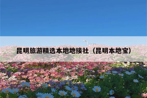 昆明旅游精选本地地接社（昆明本地宝）