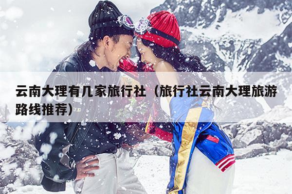 云南大理有几家旅行社（旅行社云南大理旅游路线推荐）