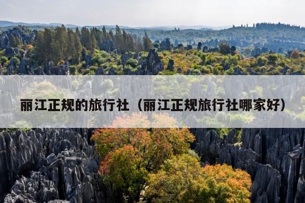 丽江正规的旅行社（丽江正规旅行社哪家好）