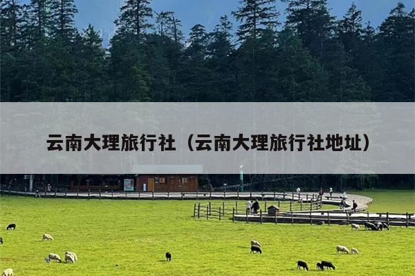 云南大理旅行社（云南大理旅行社地址）