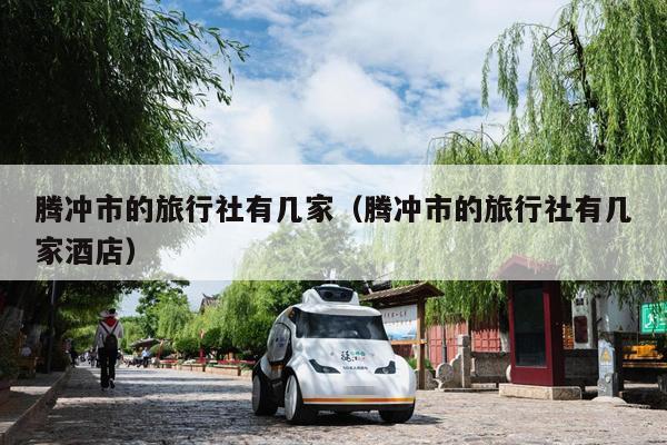 腾冲市的旅行社有几家（腾冲市的旅行社有几家酒店）