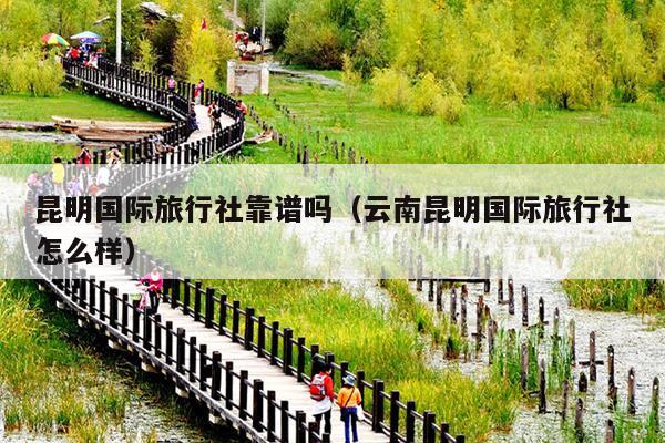 昆明国际旅行社靠谱吗（云南昆明国际旅行社怎么样）
