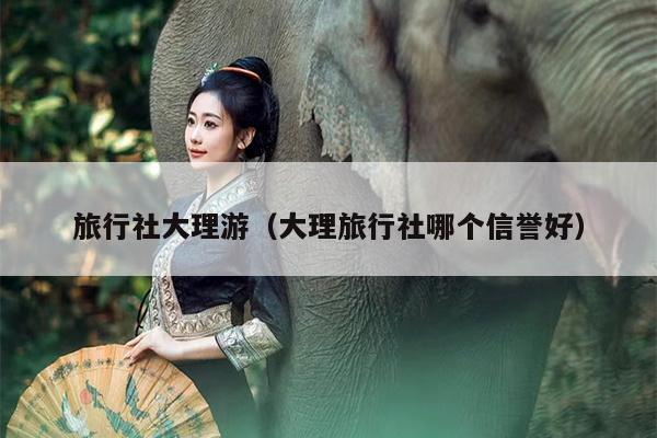 旅行社大理游（大理旅行社哪个信誉好）