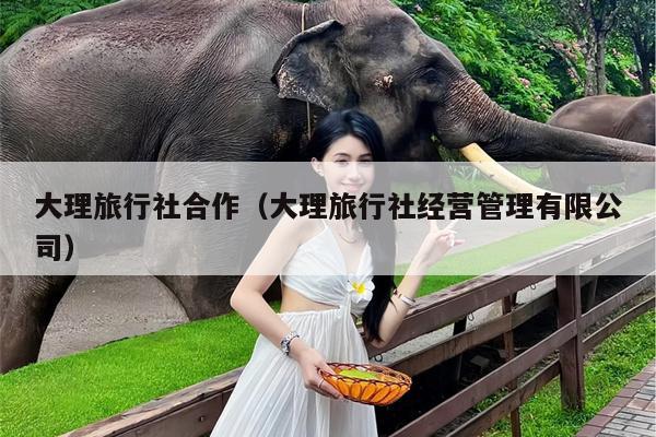 大理旅行社合作（大理旅行社经营管理有限公司）