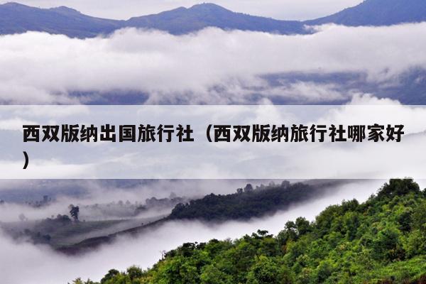 西双版纳出国旅行社（西双版纳旅行社哪家好）
