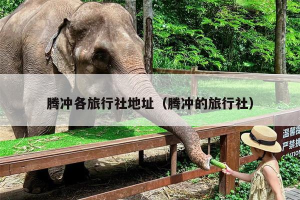 腾冲各旅行社地址（腾冲的旅行社）
