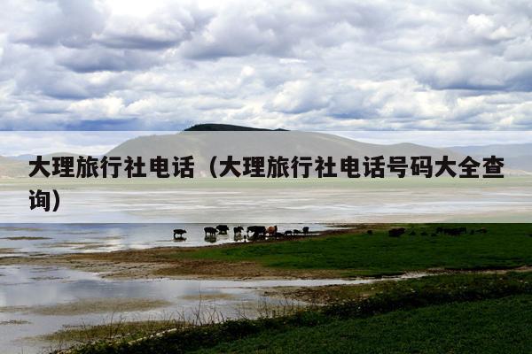 大理旅行社电话（大理旅行社电话号码大全查询）