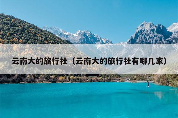 云南大的旅行社（云南大的旅行社有哪几家）