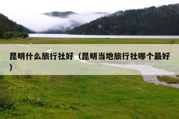 昆明什么旅行社好（昆明当地旅行社哪个最好）