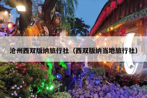 沧州西双版纳旅行社（西双版纳当地旅行社）