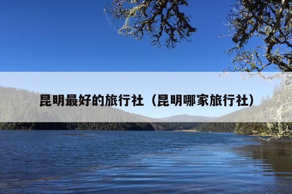 昆明最好的旅行社（昆明哪家旅行社）