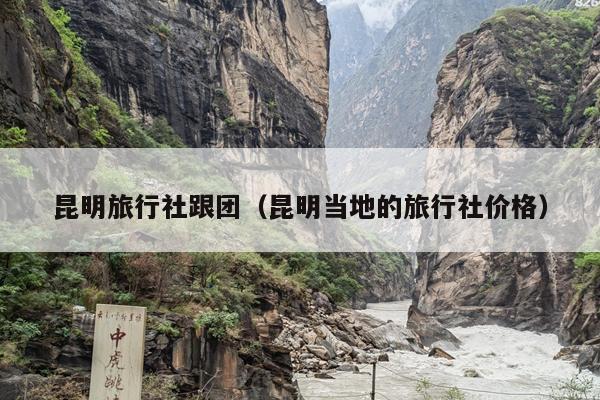 昆明旅行社跟团（昆明当地的旅行社价格）