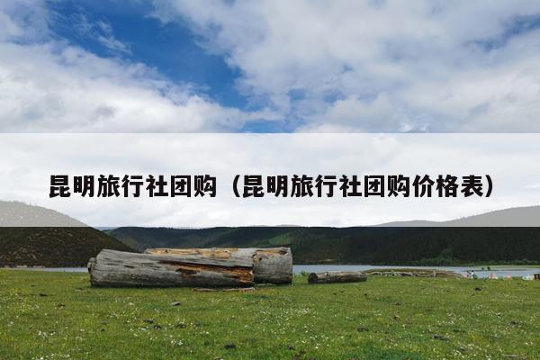 昆明旅行社团购（昆明旅行社团购价格表）