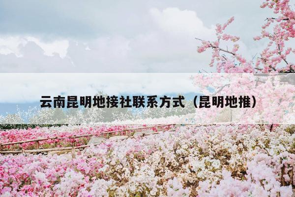 云南昆明地接社联系方式（昆明地推）