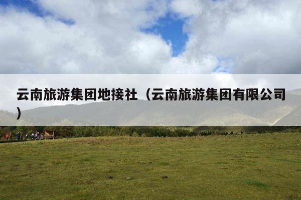 云南旅游集团地接社（云南旅游集团有限公司）